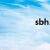 sbh52换电池步骤 sbh52