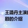 王璐丹主演的电视剧 关于王璐丹主演的电视剧的介绍