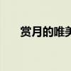 赏月的唯美句子50字 赏月的唯美句子