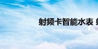 射频卡智能水表 射频卡