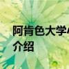 阿肯色大学小石城 关于阿肯色大学小石城的介绍