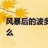 风暴后的波多黎各重新考虑如何重建和重建什么