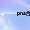 pna合成 关于pna合成的介绍