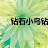 钻石小鸟钻石 关于钻石小鸟钻石的介绍