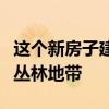 这个新房子建在一个悬空的石板上背靠自然的丛林地带