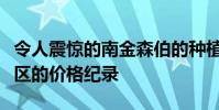 令人震惊的南金森伯的种植面积打破了自己郊区的价格纪录