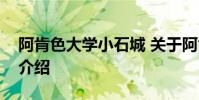 阿肯色大学小石城 关于阿肯色大学小石城的介绍