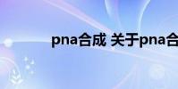 pna合成 关于pna合成的介绍