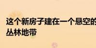 这个新房子建在一个悬空的石板上背靠自然的丛林地带