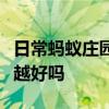 日常蚂蚁庄园答题：钙片含钙量越高补钙效果越好吗
