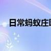 日常蚂蚁庄园答题：钙片含量越高越好吗