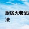 厨房灭老鼠最有效的方法 灭老鼠最有效的方法