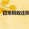 日常蚂蚁庄园答题：钙片含钙量越多越好吗