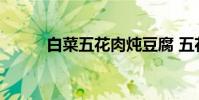 白菜五花肉炖豆腐 五花肉炖豆腐