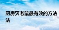 厨房灭老鼠最有效的方法 灭老鼠最有效的方法