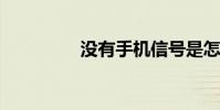 没有手机信号是怎么回事