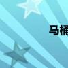 马桶盖上的黑斑怎么去掉