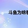 斗鱼为啥看不到弹幕 斗鱼看不到弹幕