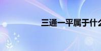 三通一平属于什么费用