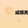 威娜美发 关于威娜美发的介绍