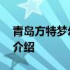 青岛方特梦幻乐园 关于青岛方特梦幻乐园的介绍