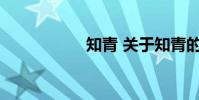 知青 关于知青的介绍