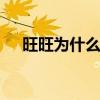 旺旺为什么登录不了网页 旺旺登陆不了