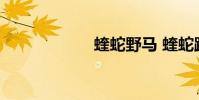 蝰蛇野马 蝰蛇跑车