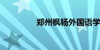 郑州枫杨外国语学校学费