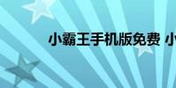 小霸王手机版免费 小霸王手机