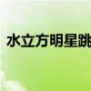 水立方明星跳水 关于水立方明星跳水的介绍