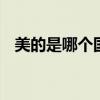 美的是哪个国家生产的 美的是哪个国家的