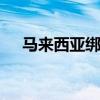 马来西亚绑架 关于马来西亚绑架的介绍