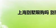 上海别墅限购吗 别墅限购吗