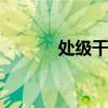 处级干部 关于处级干部的介绍