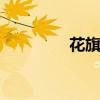 花旗松 关于花旗松的介绍