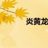炎黄龙腾 关于炎黄龙腾的介绍