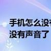 手机怎么没有声音了充电也没有了 手机怎么没有声音了