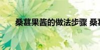 桑葚果酱的做法步骤 桑葚果酱的做法