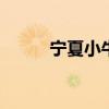 宁夏小牛数码彩扩机 数码彩扩机