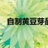 自制黄豆芽最简单的方法视频 自制黄豆芽