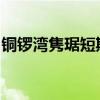 铜锣湾隽琚短期内开价料本月底或下月初开售