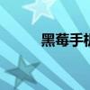 黑莓手机软件多吗 黑莓手机软件
