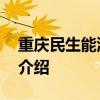 重庆民生能源集团 关于重庆民生能源集团的介绍