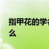 指甲花的学名是什么意思 指甲花的学名叫什么