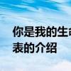 你是我的生命演员表 关于你是我的生命演员表的介绍