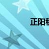 正阳租房拎包入住 正阳租房