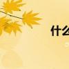 什么叫pu皮 什么叫pu皮