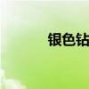 银色钻石 关于银色钻石的介绍