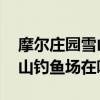 摩尔庄园雪山钓鱼场在哪钓鳕鱼 摩尔庄园雪山钓鱼场在哪
